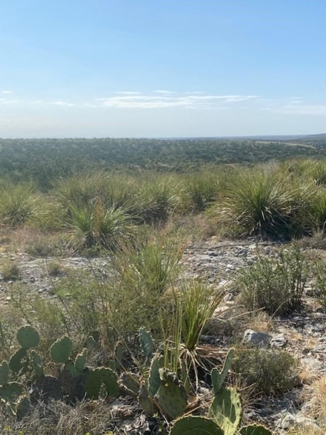 993.8 acres in Kinney County - photo 40