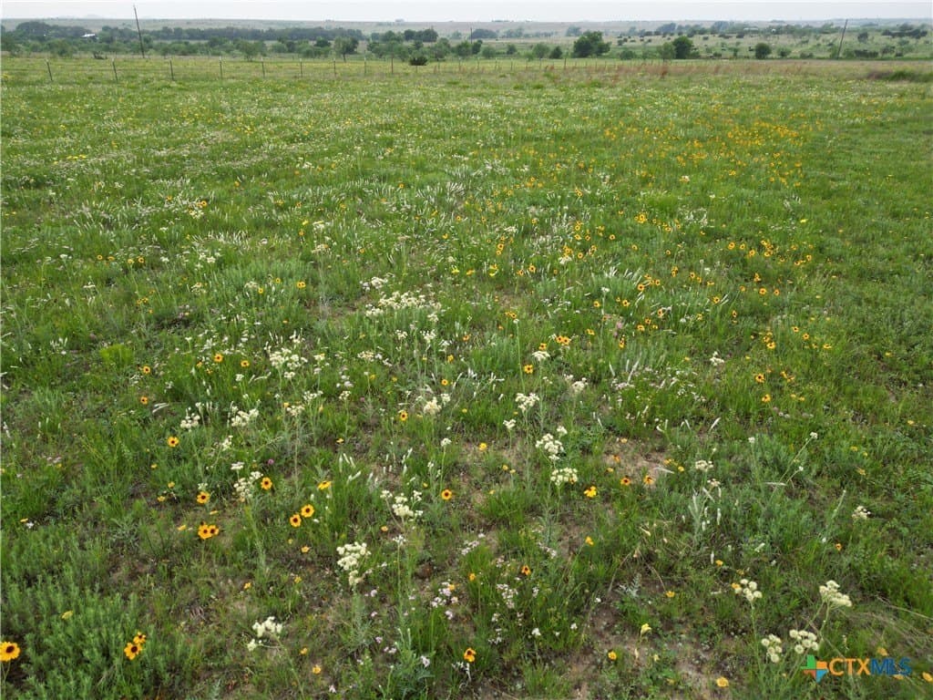 20.02 acres in Lampasas County gallery image 3
