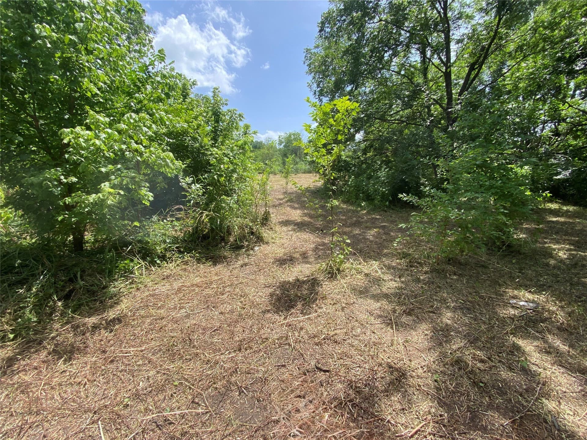 0.65 acres in Navarro County - photo 3