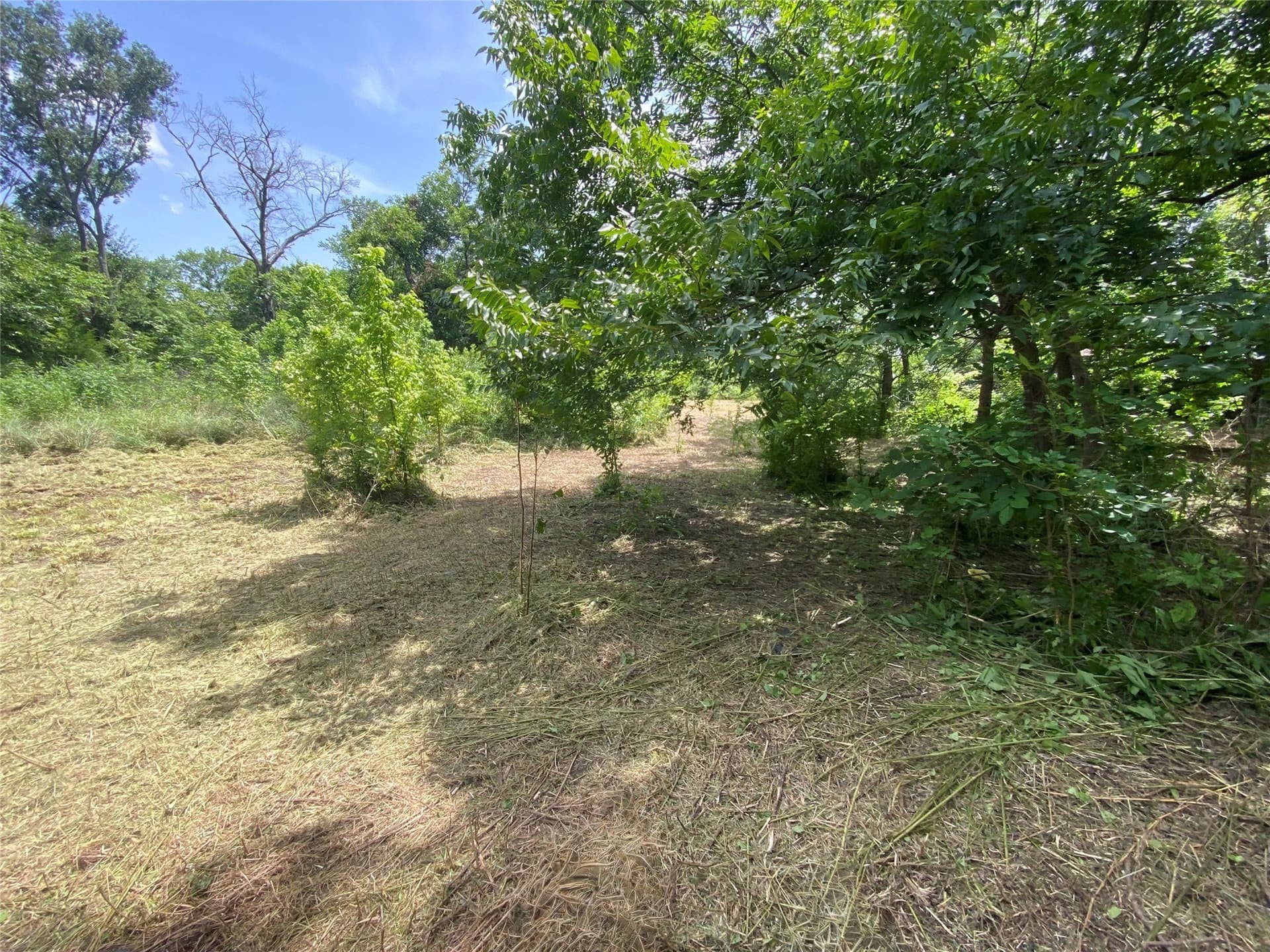0.65 acres in Navarro County - photo 2