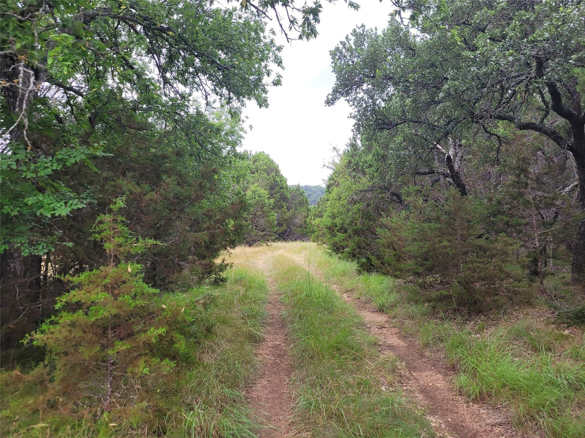 89.11 acres in Lampasas County - photo 2