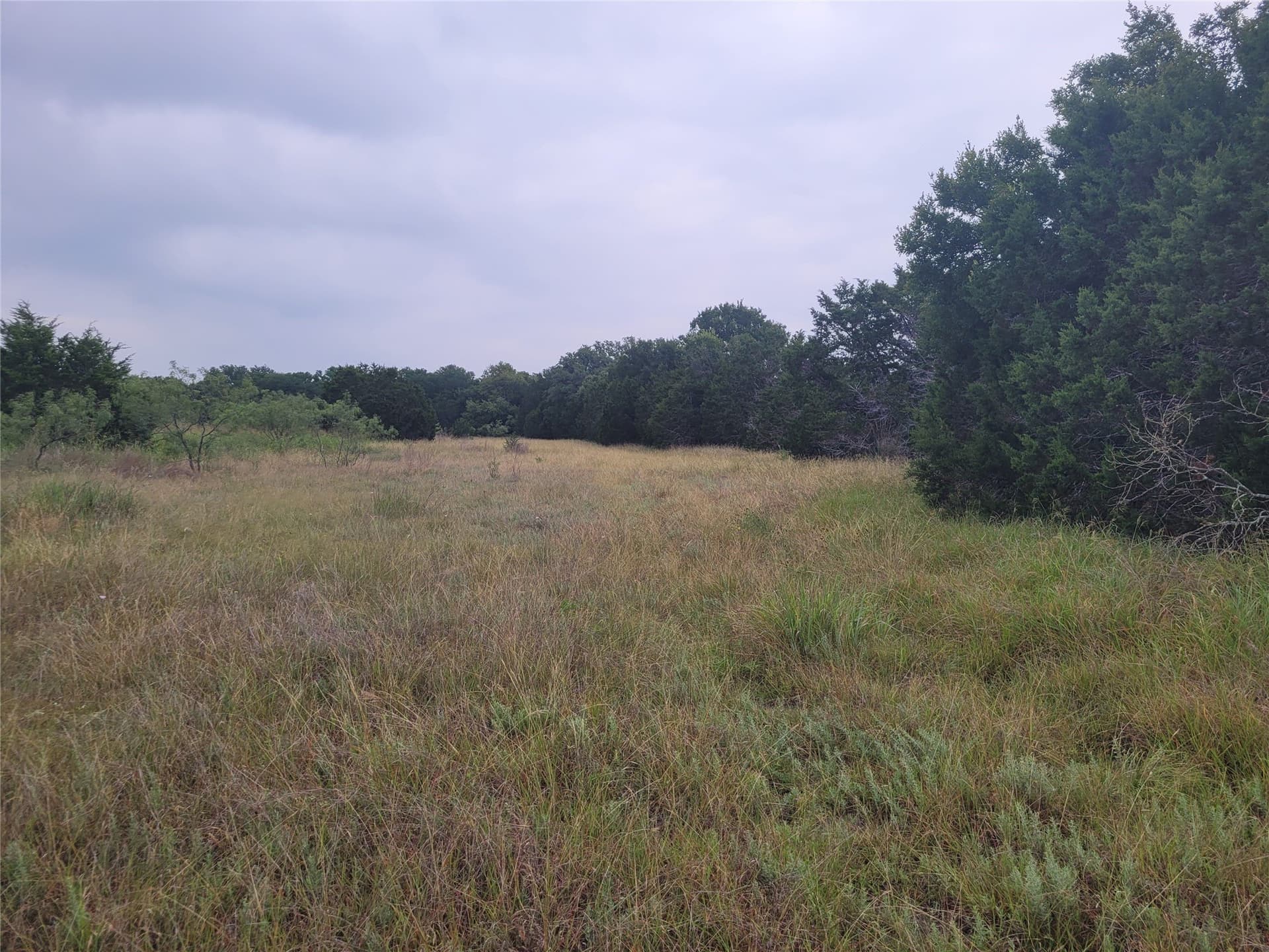 89.11 acres in Lampasas County - photo 30