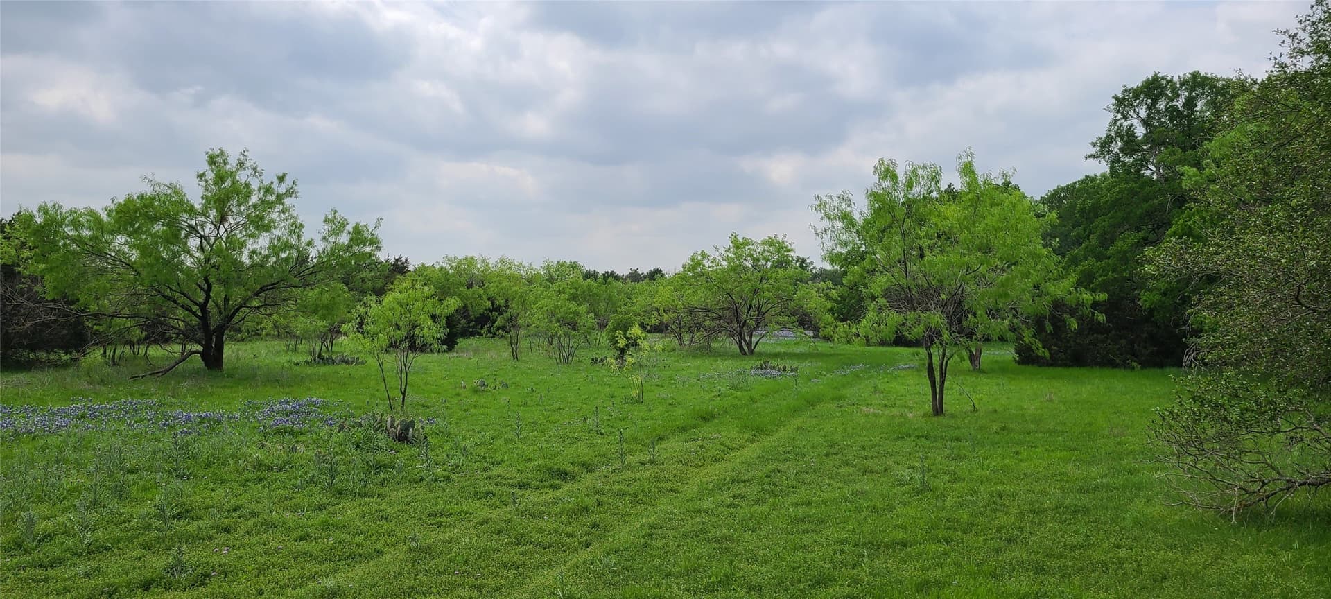89.11 acres in Lampasas County - photo 3