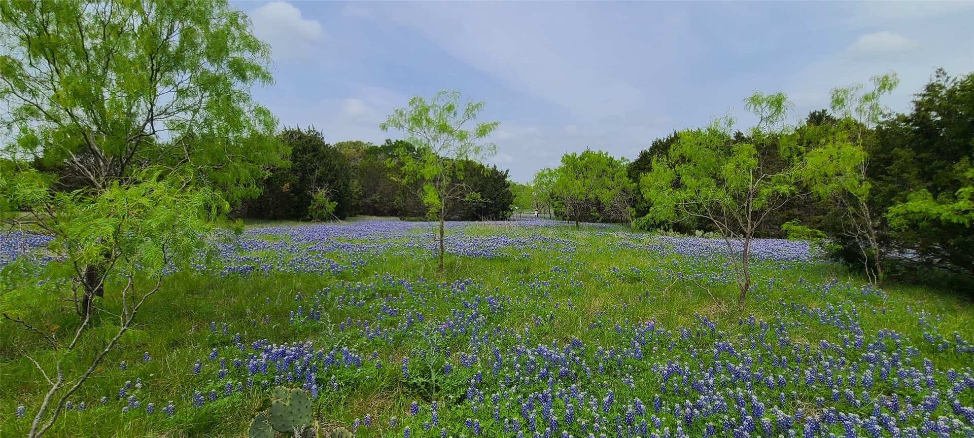 89.11 acres in Lampasas County