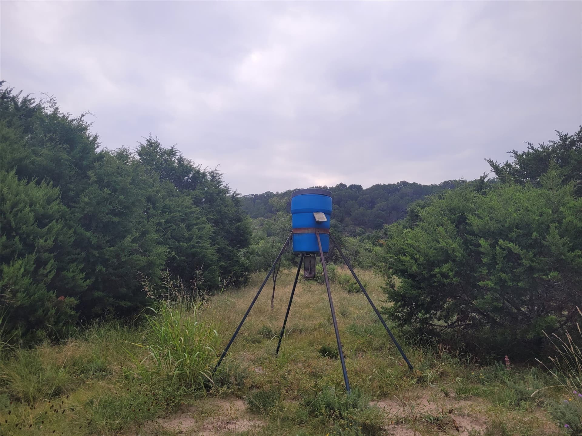 89.11 acres in Lampasas County - photo 37