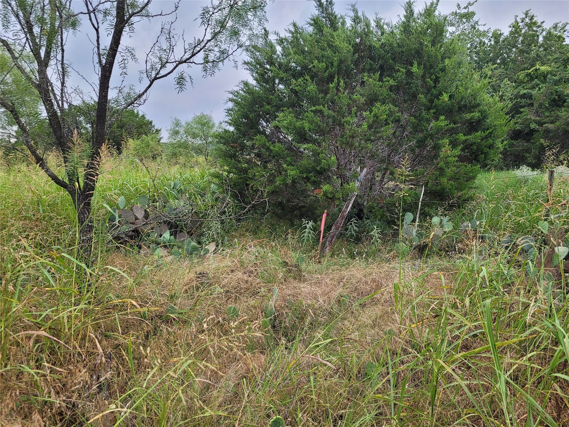 89.11 acres in Lampasas County - photo 25
