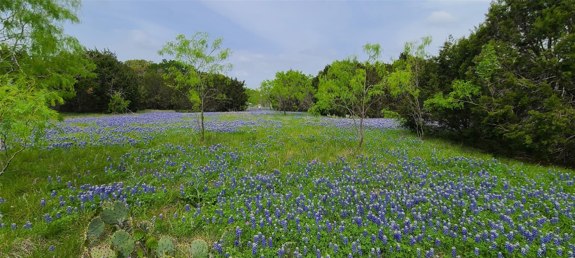 89.11 acres in Lampasas County - photo 5