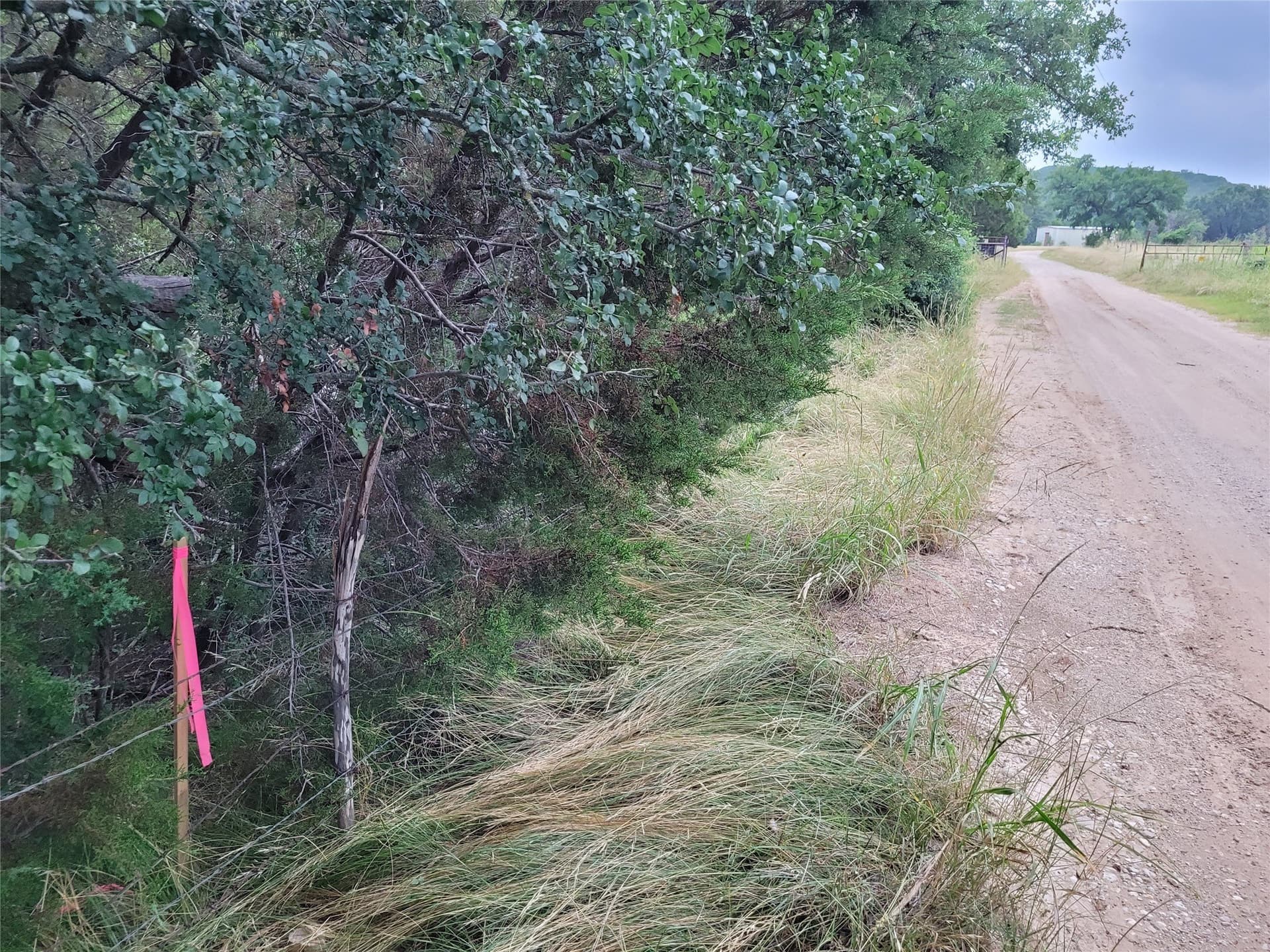 89.11 acres in Lampasas County - photo 8
