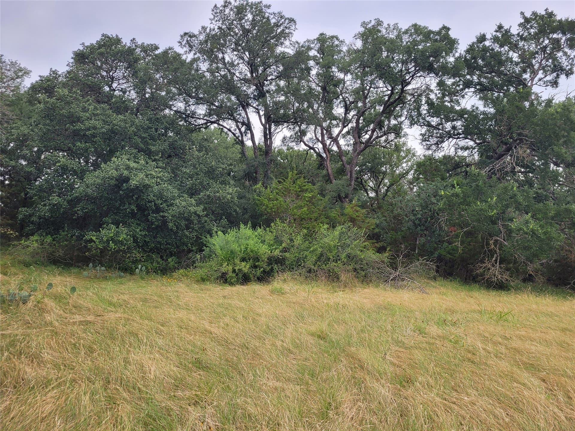 89.11 acres in Lampasas County - photo 29