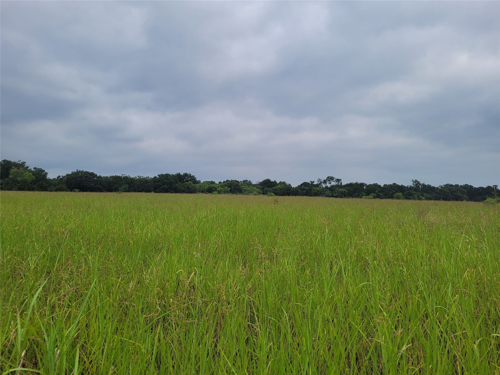 89.11 acres in Lampasas County - photo 27