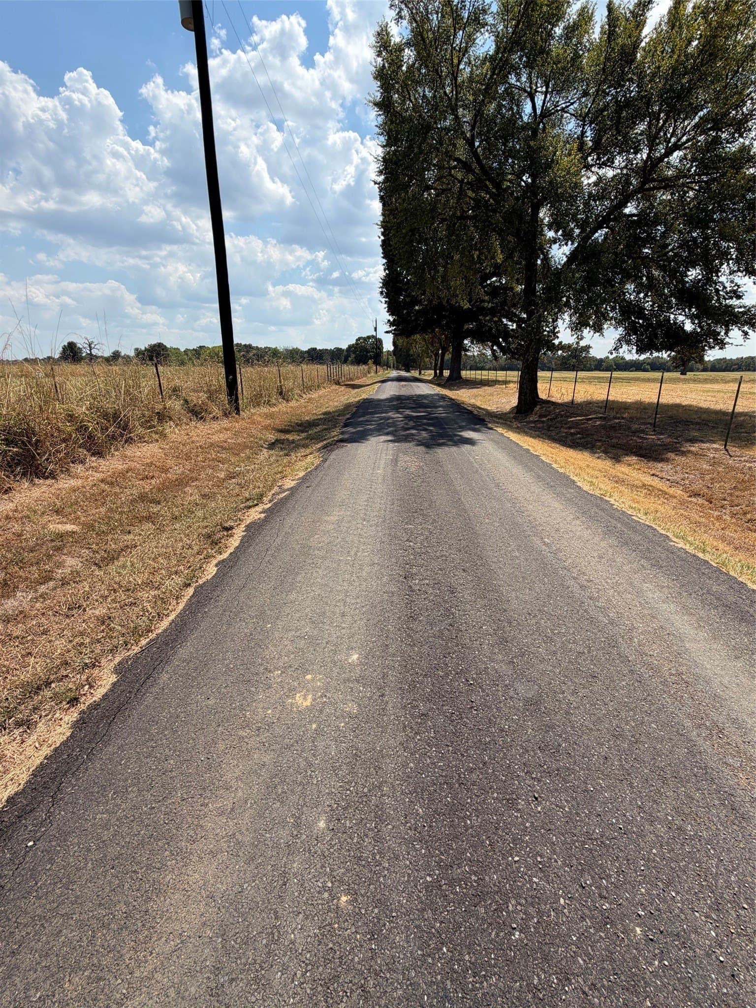 1.72 acres in Rains County - photo 2