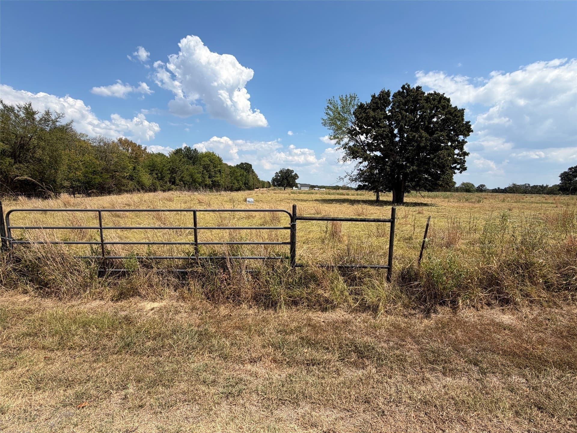 1.72 acres in Rains County