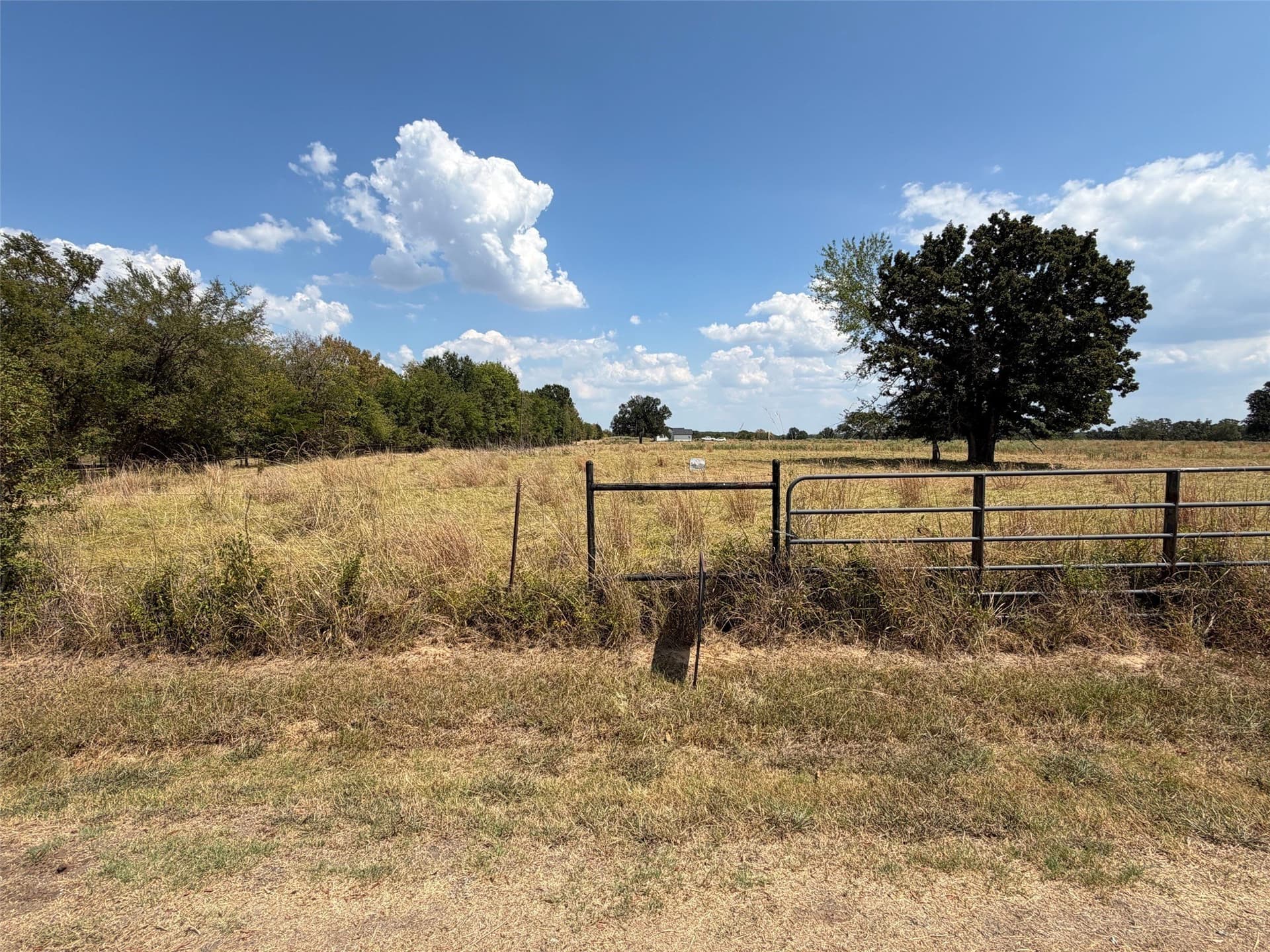 1.72 acres in Rains County - photo 4