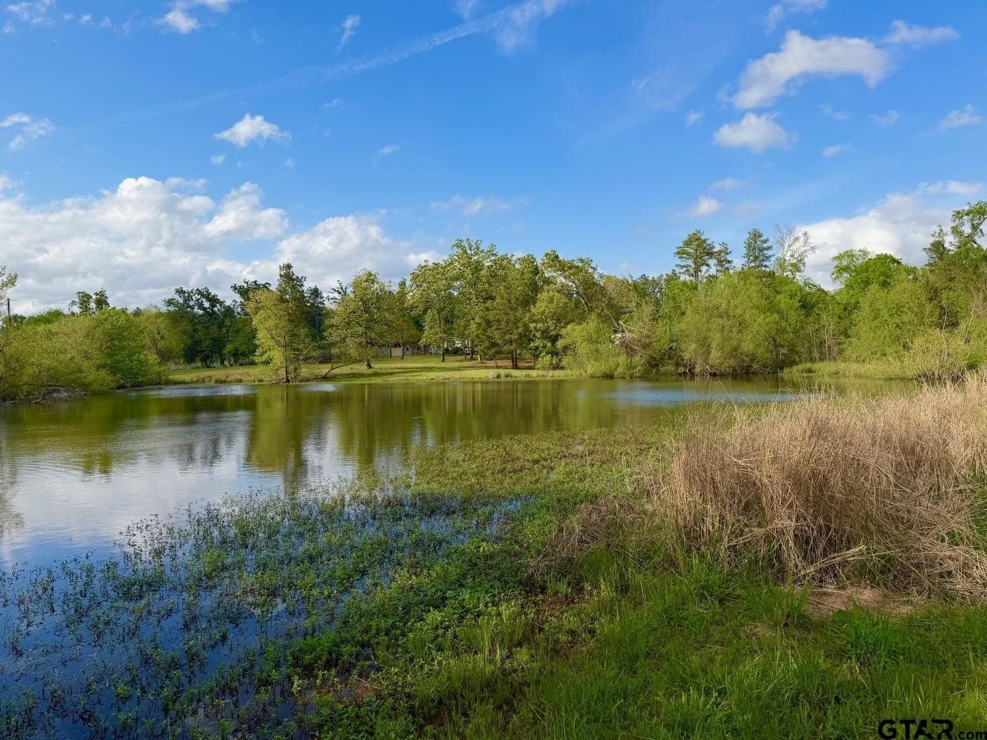 16.34 acres in Smith County gallery image 3