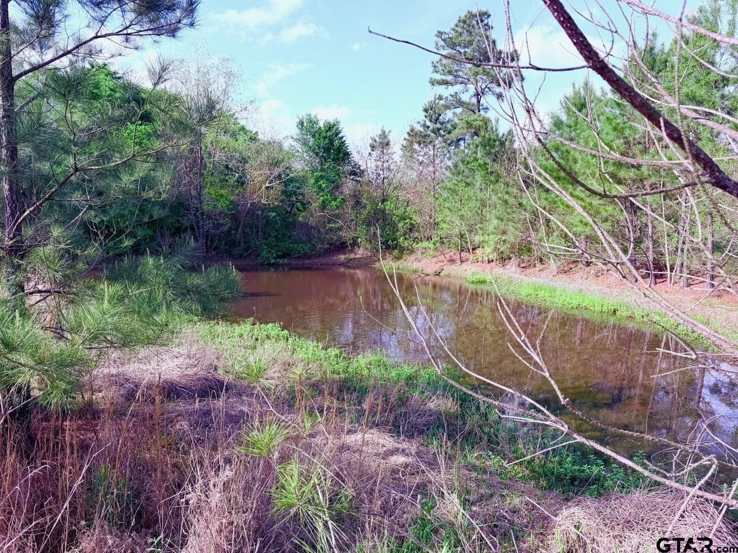 16.34 acres in Smith County featured view