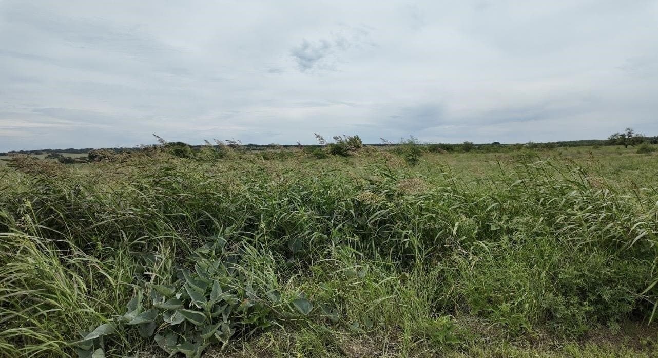 22 acres in McCulloch County - photo 16
