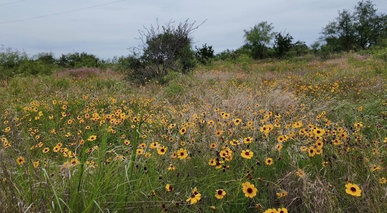 22 acres in McCulloch County - photo 26