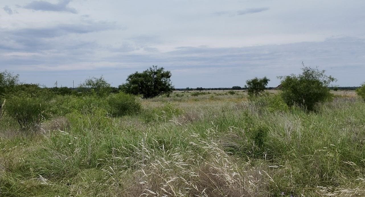22 acres in McCulloch County - photo 31