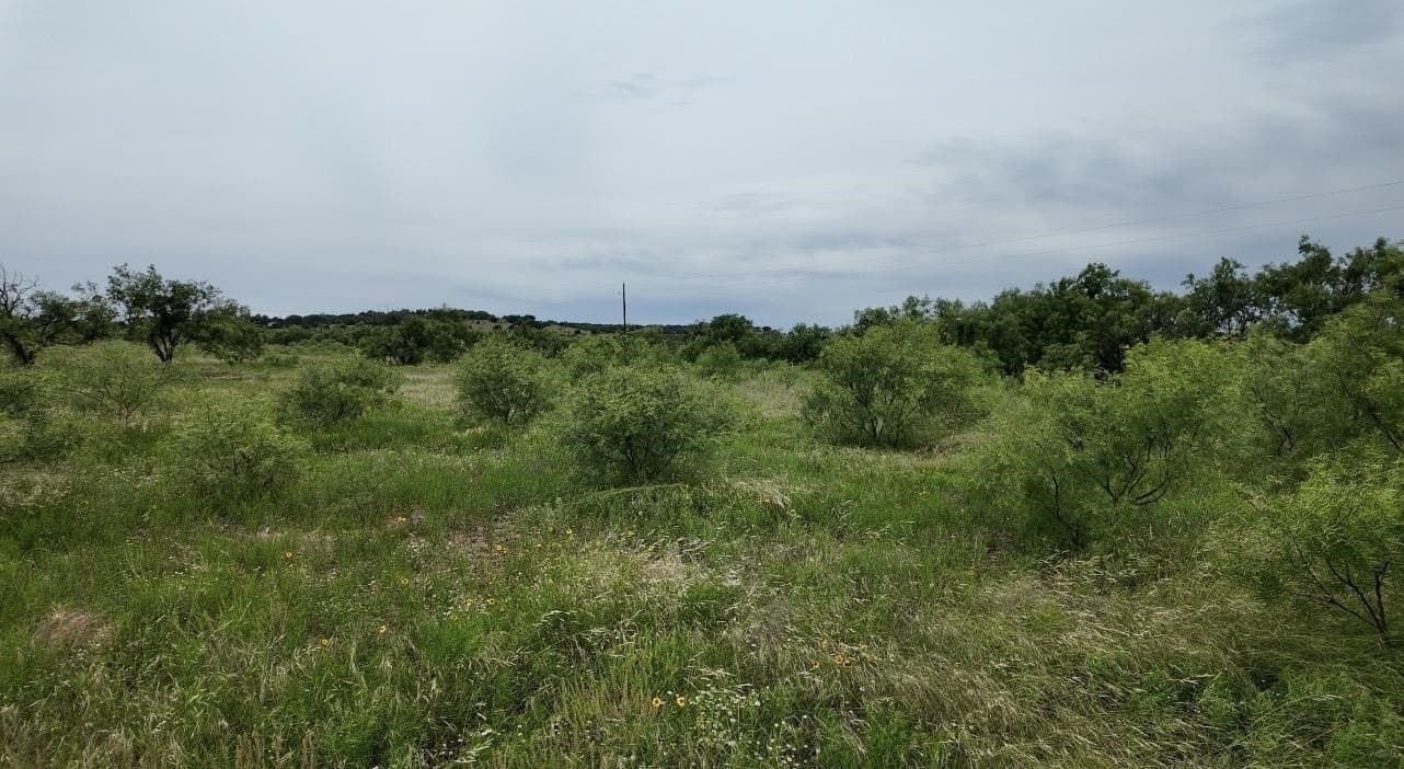 22 acres in McCulloch County - photo 27