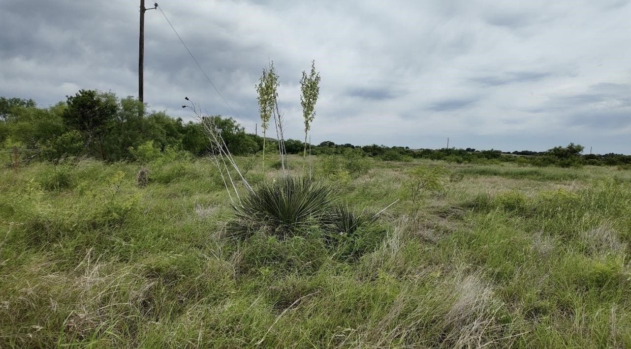 22 acres in McCulloch County - photo 33