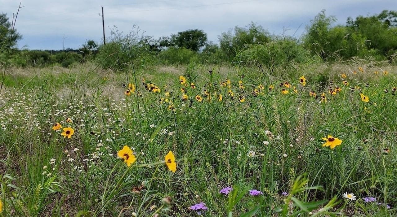 22 acres in McCulloch County - photo 30