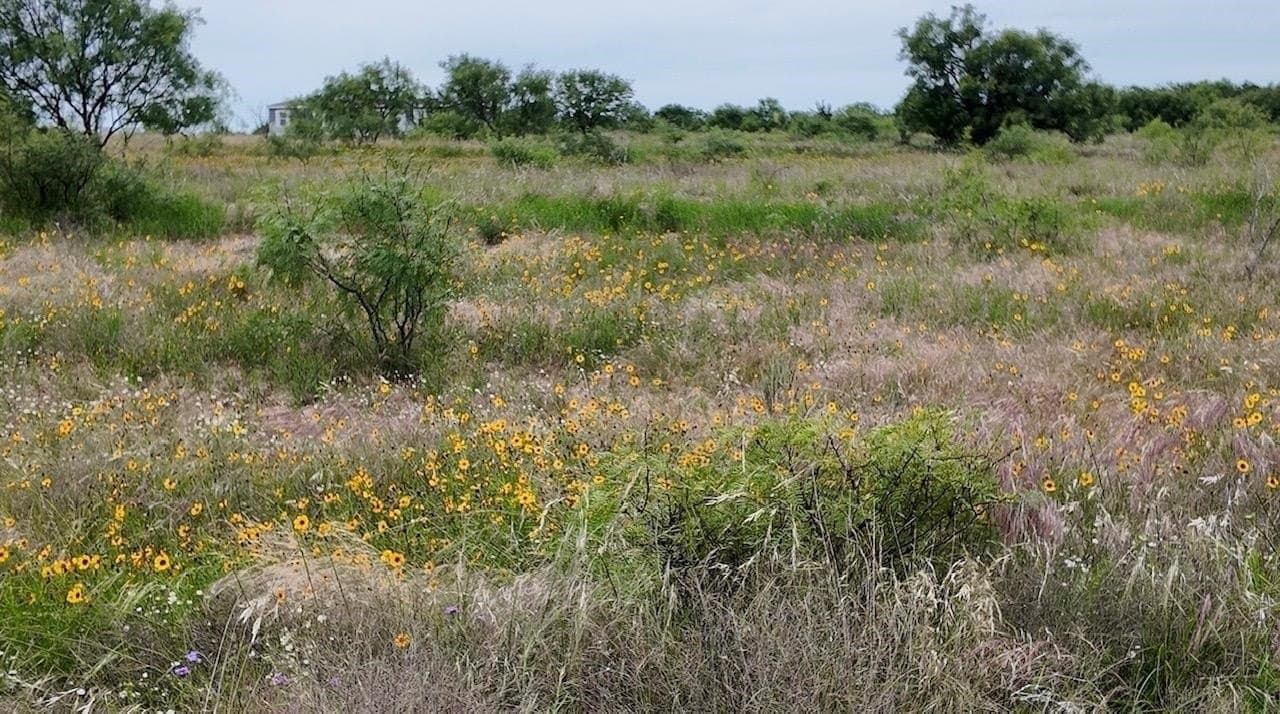 22 acres in McCulloch County - photo 29