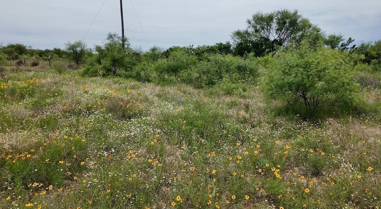 22 acres in McCulloch County - photo 32
