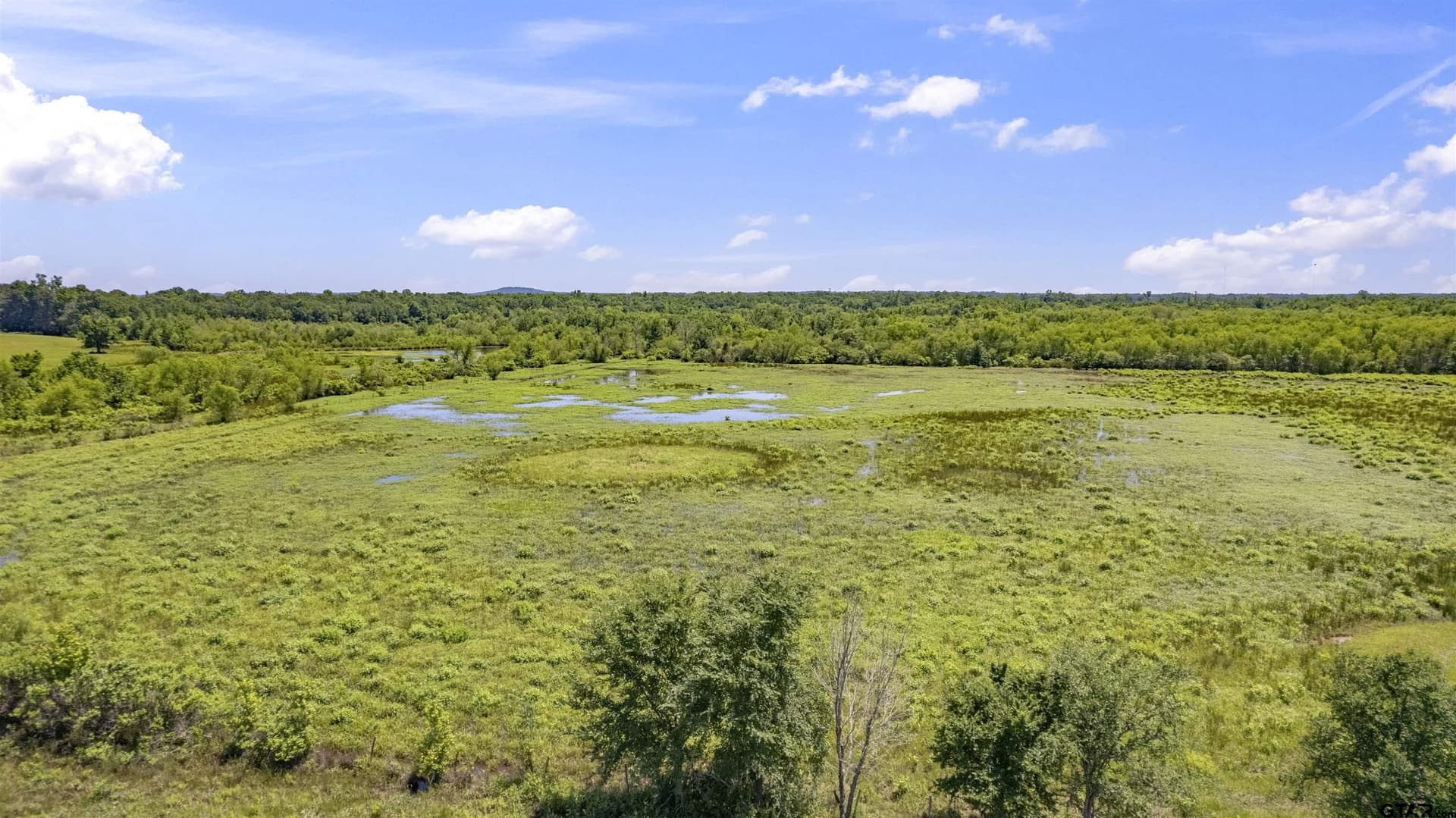 70.17 acres in Henderson County - photo 31