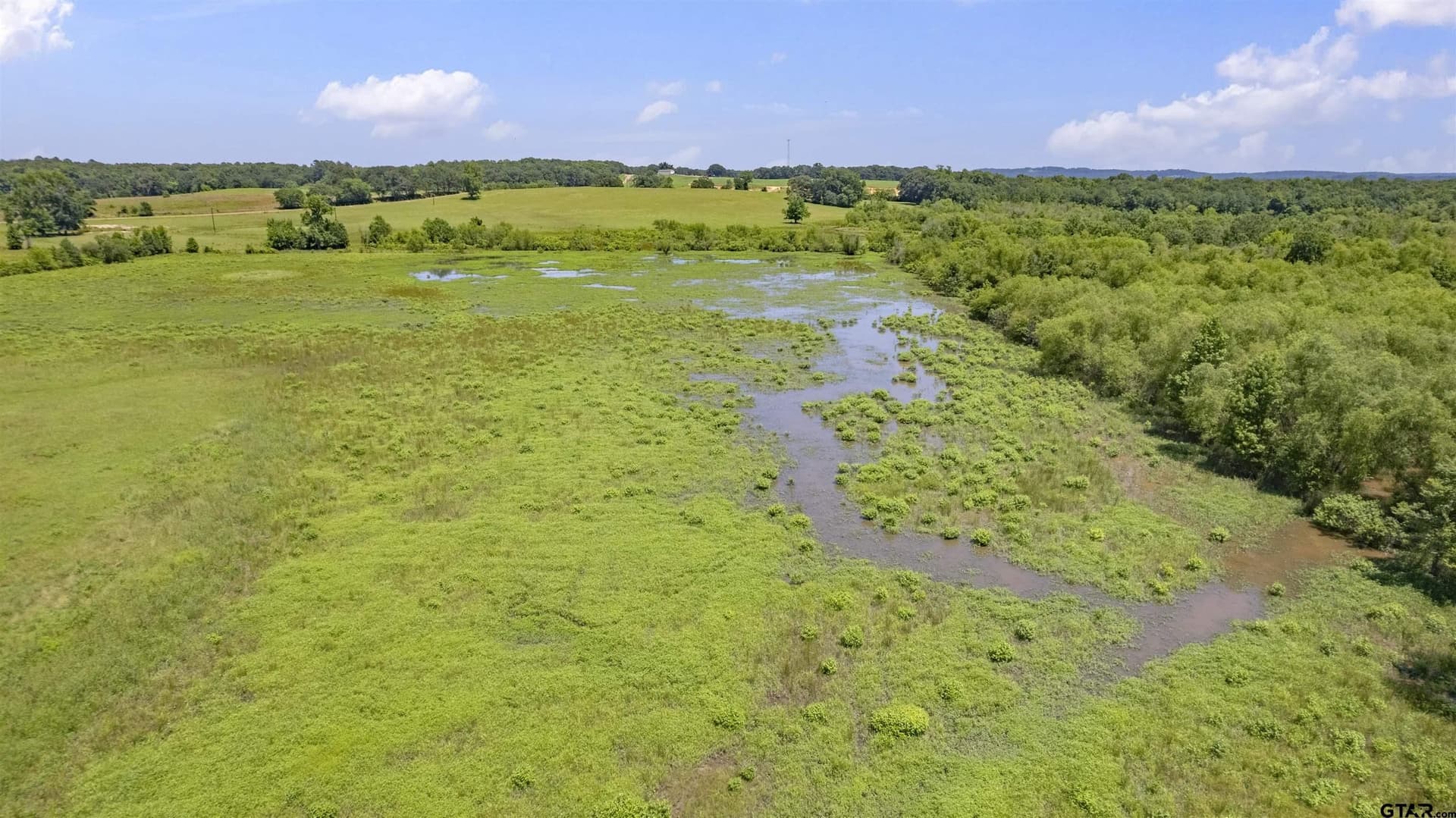 70.17 acres in Henderson County - photo 34