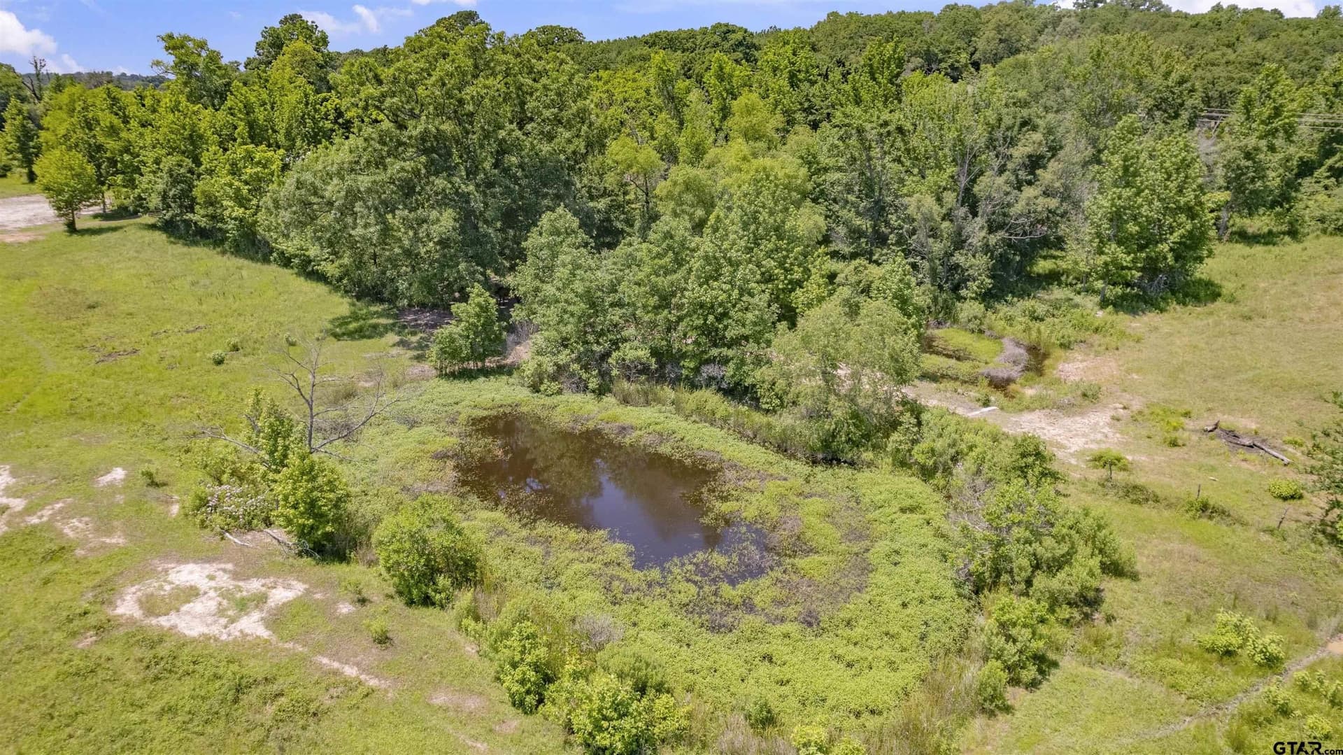 70.17 acres in Henderson County - photo 37
