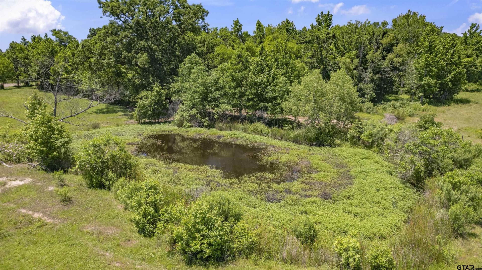 70.17 acres in Henderson County - photo 33