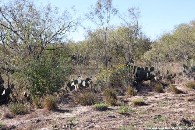 12.75 acres in Bexar County featured view