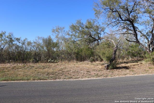 12.75 acres in Bexar County gallery image 2