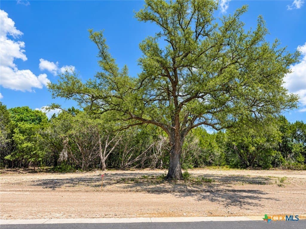 1.77 acres in Bell County - photo 2