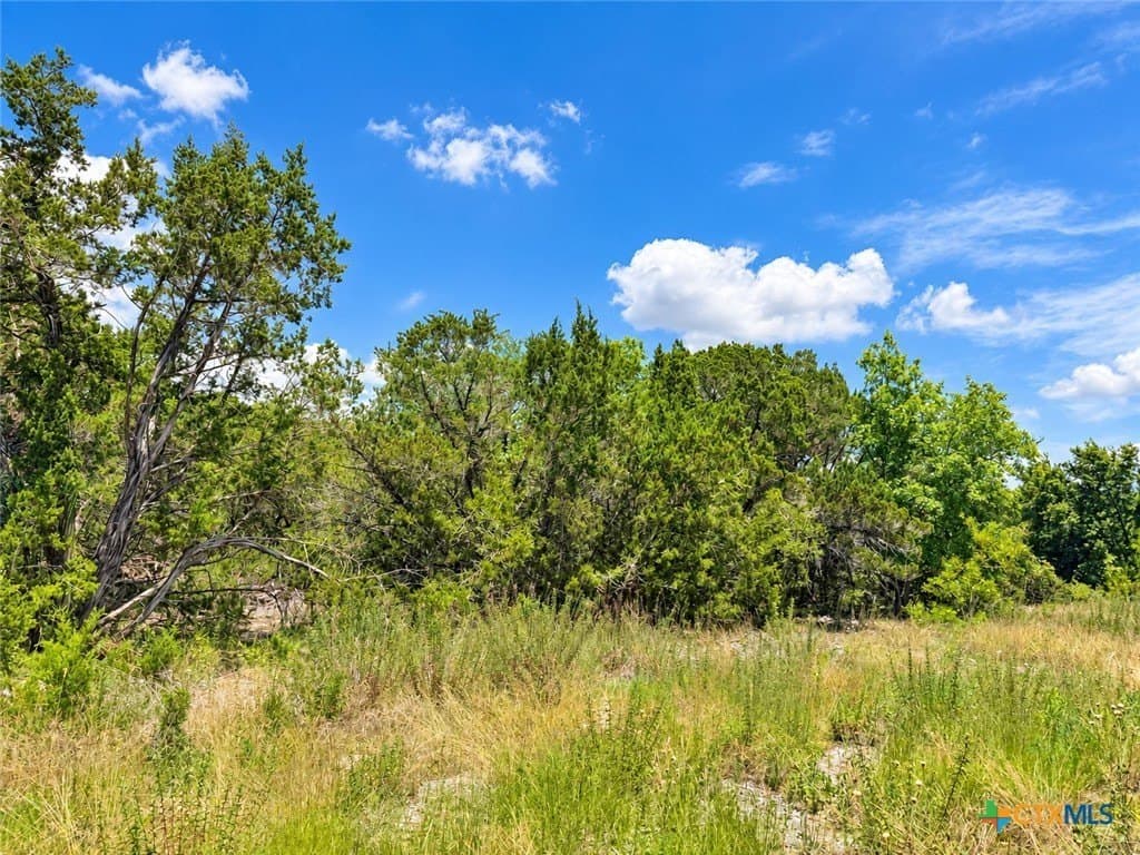 1.77 acres in Bell County - photo 4
