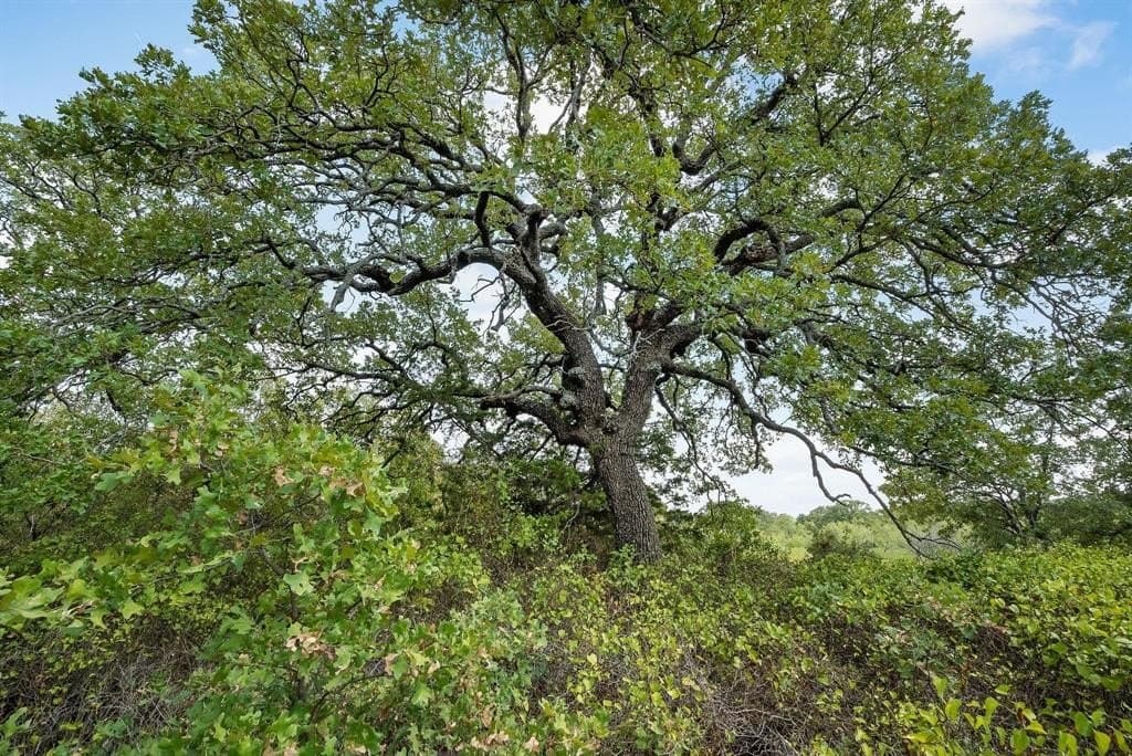 10 acres in Jack County