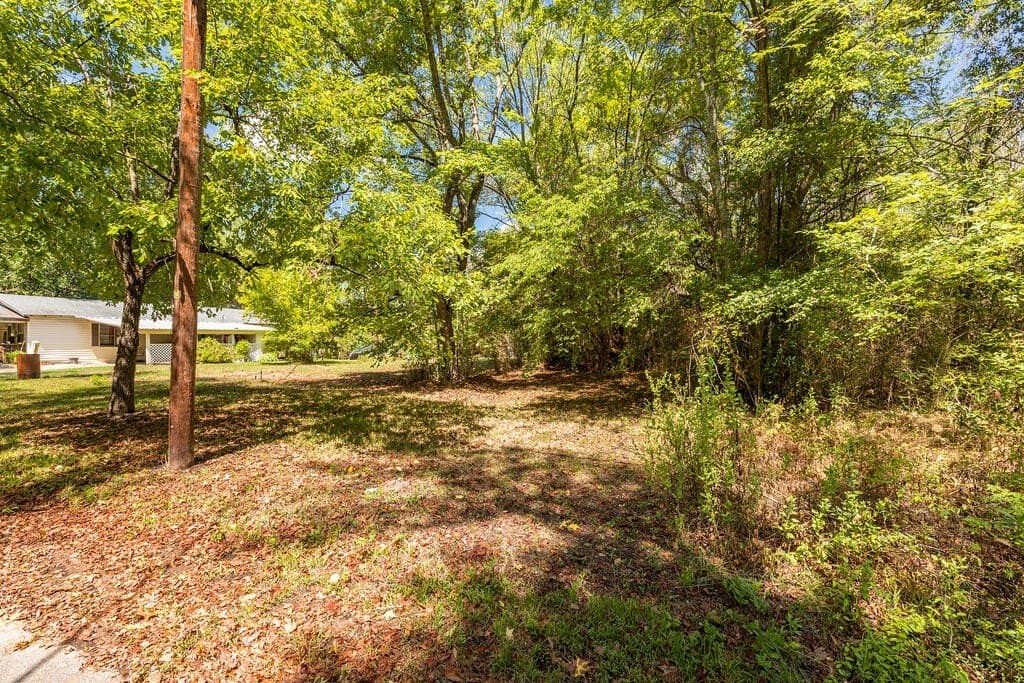 0.17 acres in Texas County - photo 9