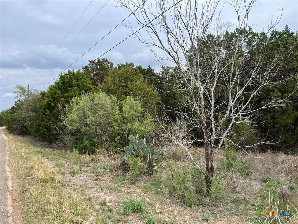6.33 acres in Hays County - photo 4