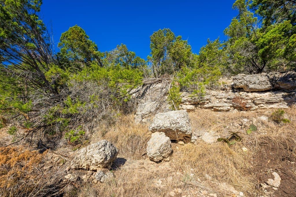 33.3 acres in Gillespie County gallery image 3