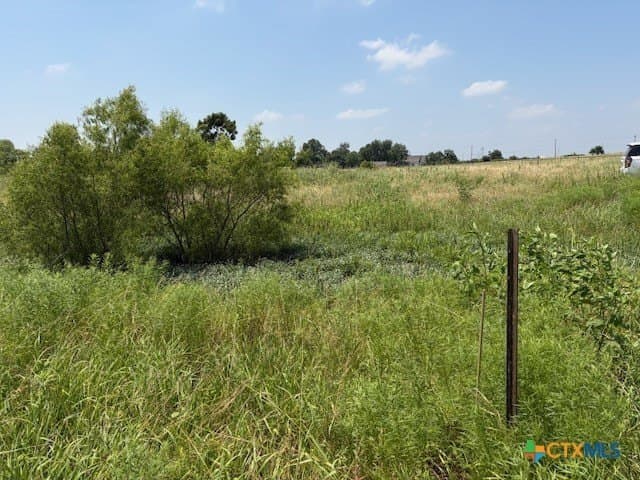 10.1 acres in Williamson County - photo 22