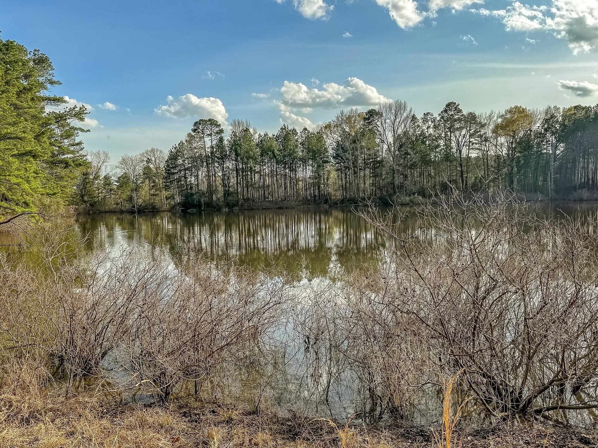 29 acres in Gregg County - photo 11