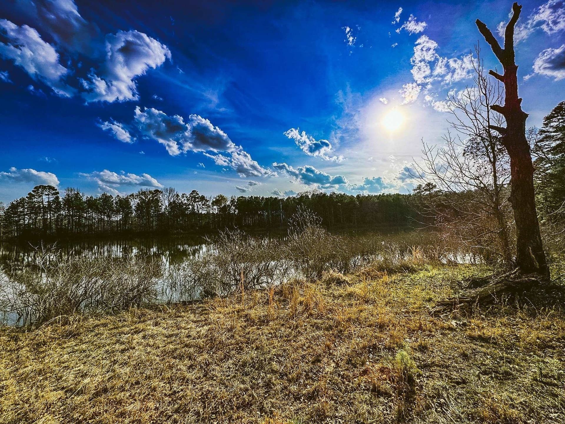 29 acres in Gregg County - photo 10