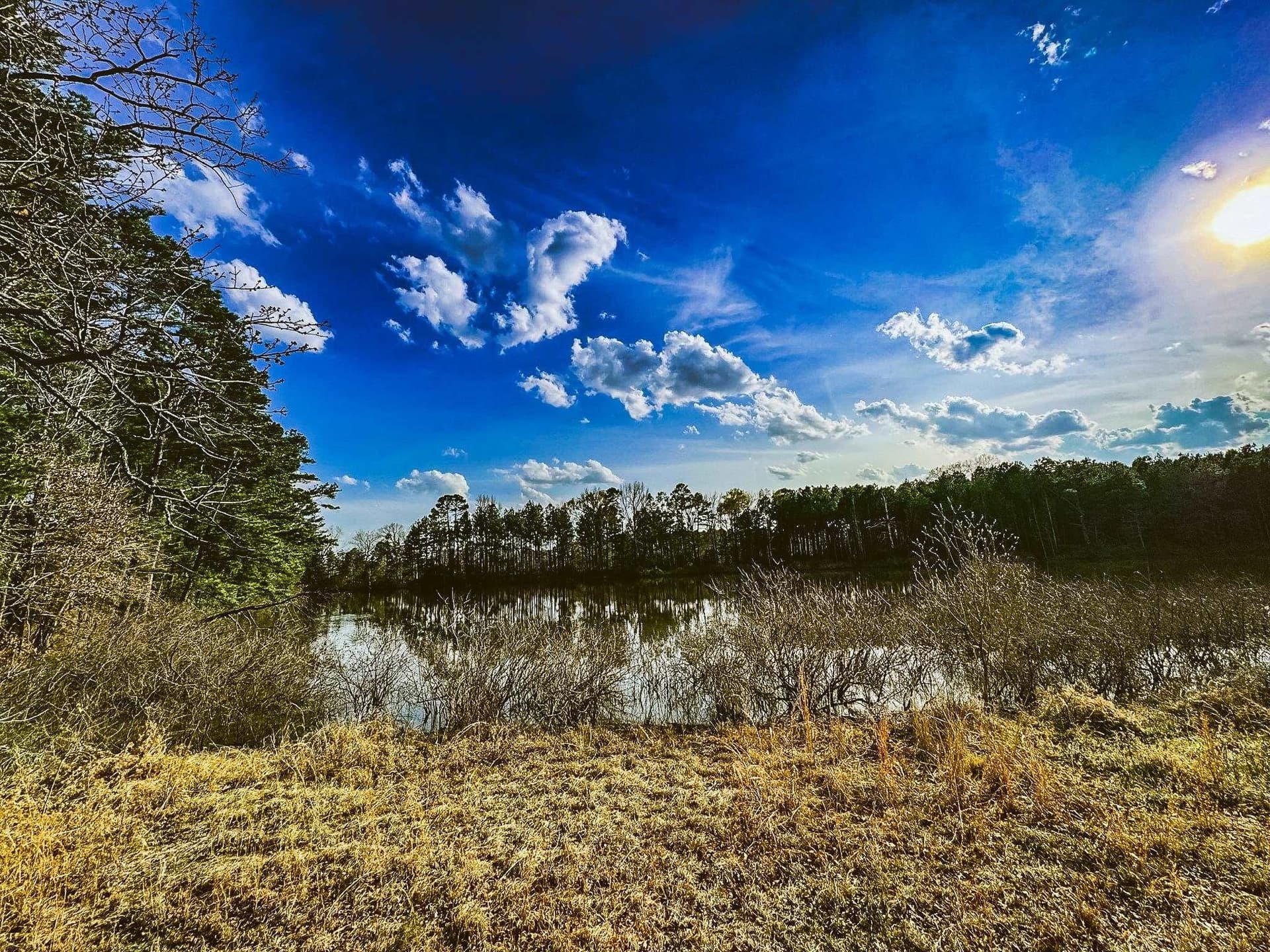 29 acres in Gregg County - photo 9