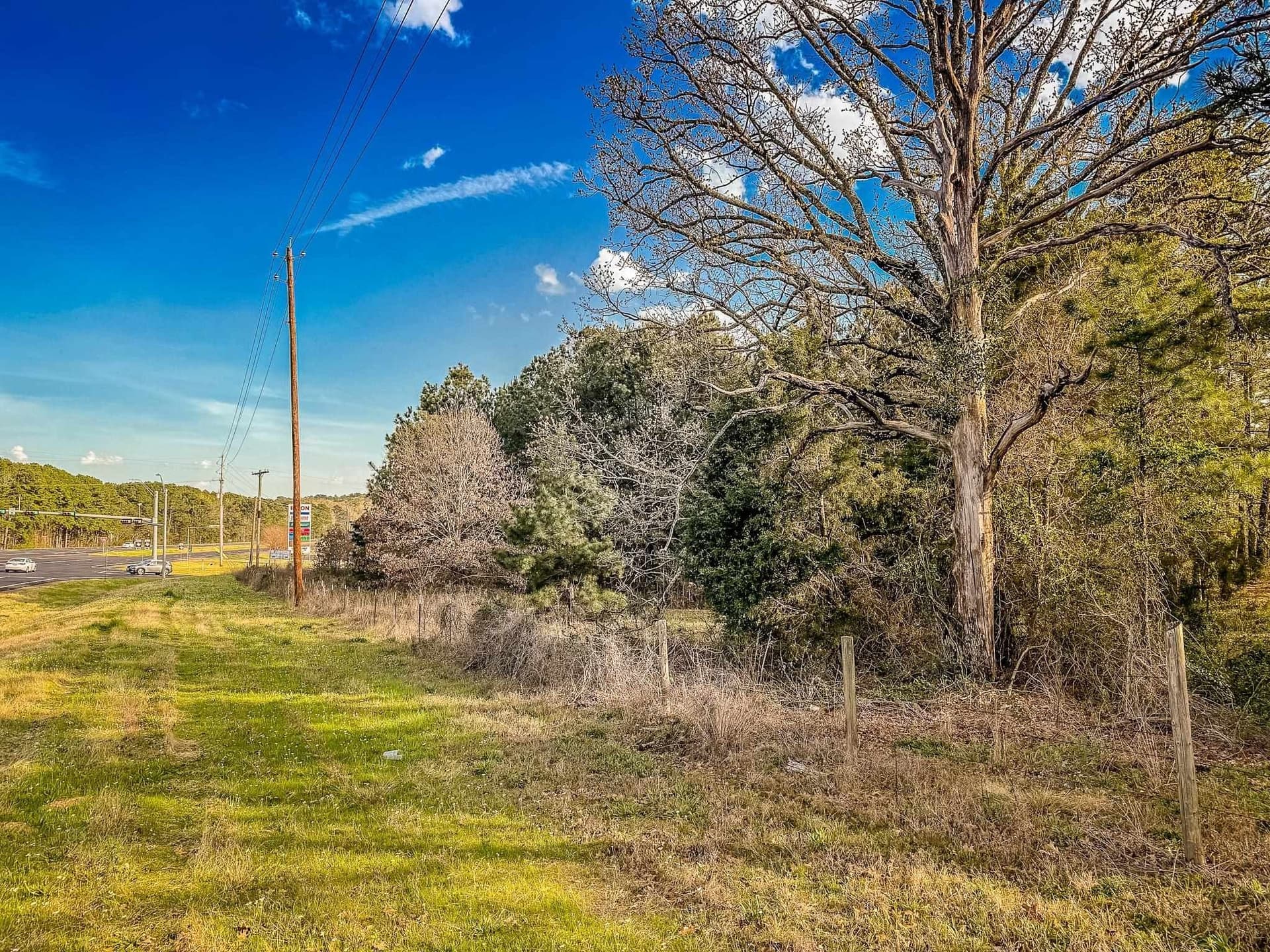 29 acres in Gregg County - photo 8