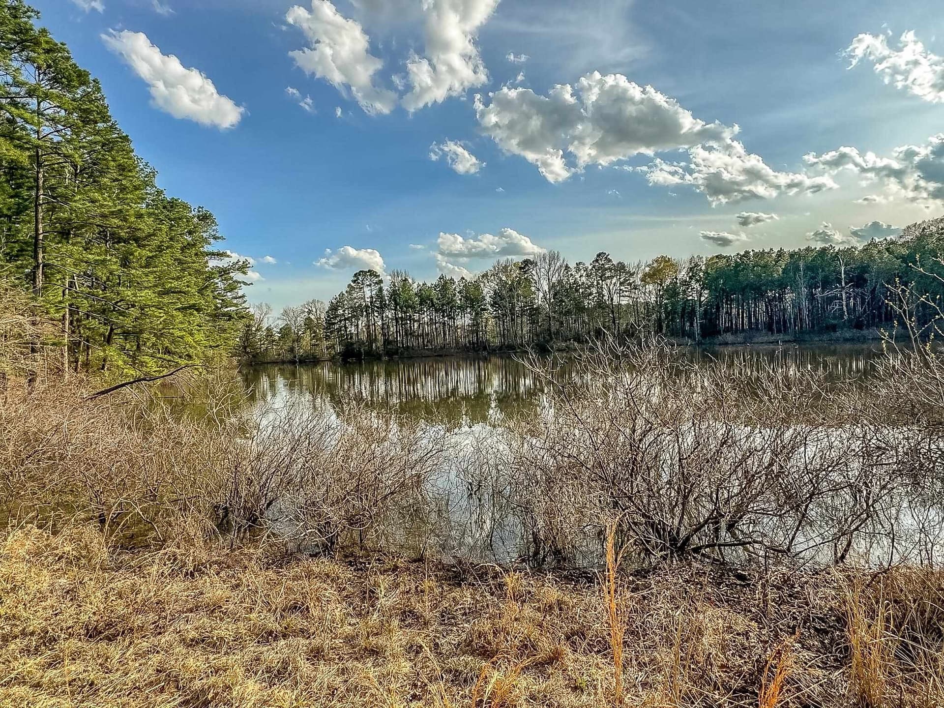 29 acres in Gregg County - photo 12