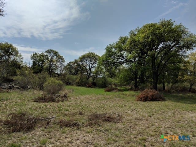 17.22 acres in Bell County - photo 6