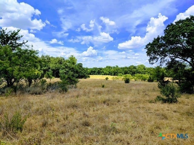 17.22 acres in Bell County gallery image 3