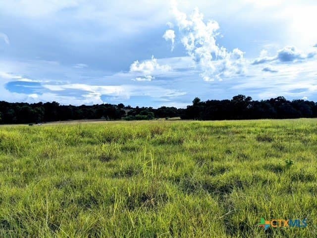 17.22 acres in Bell County gallery image 4