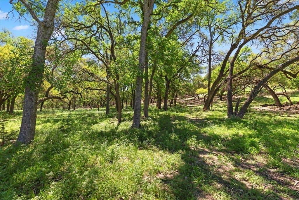 8.14 acres in Hays County gallery image 3
