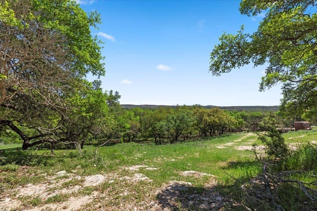8.14 acres in Hays County gallery image 2